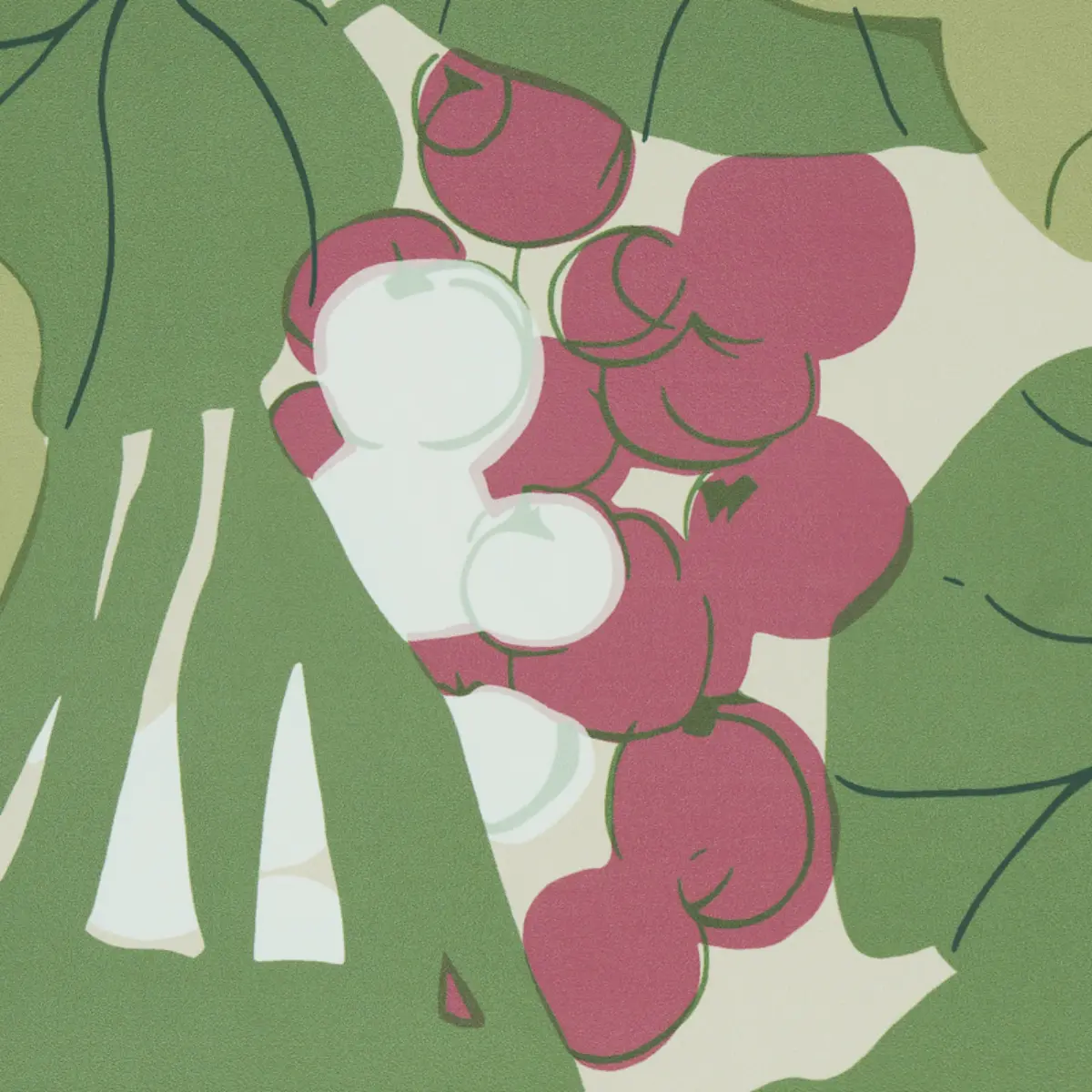 SEA GRAPES_ TROPICAL