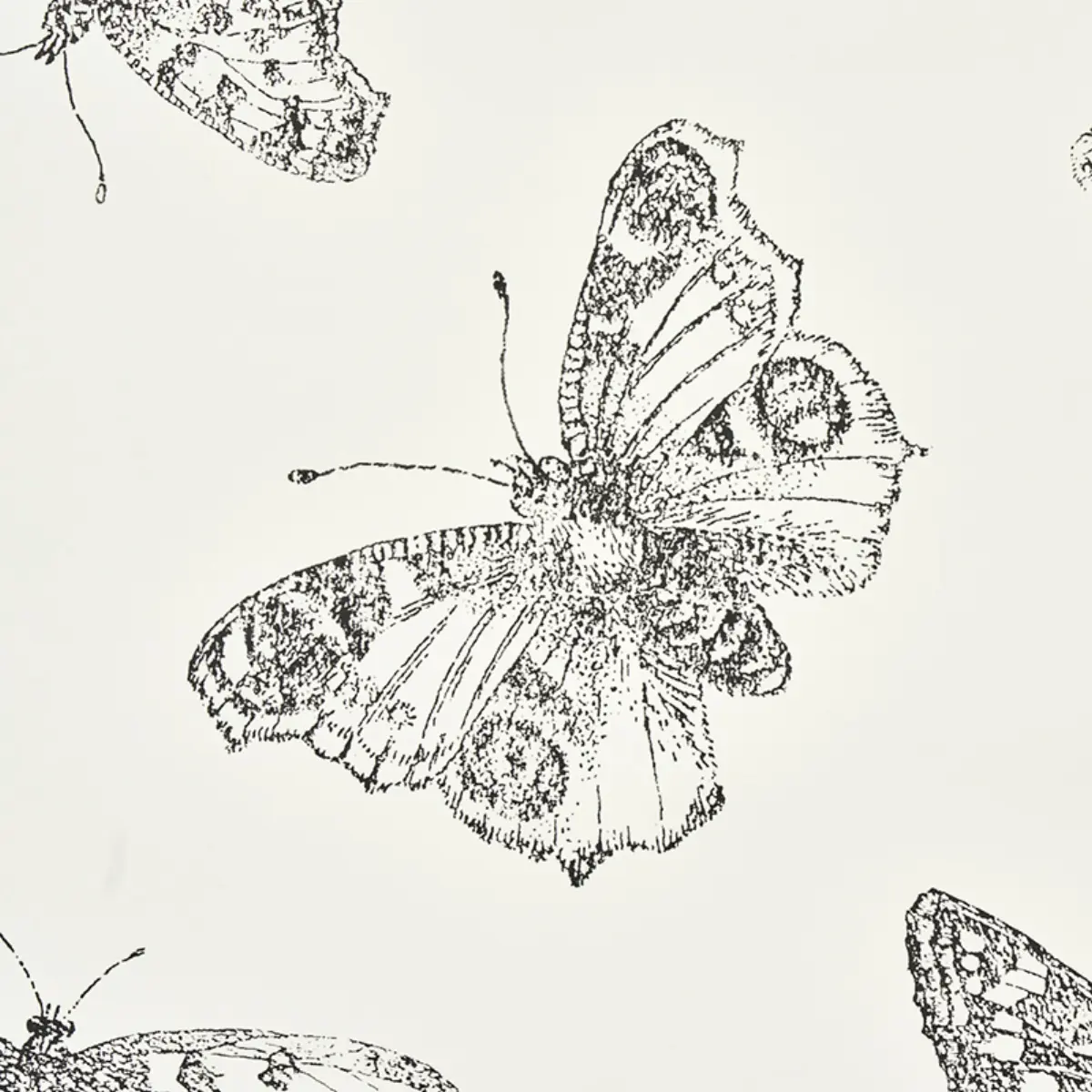 BURNELL BUTTERFLY_ IVORY