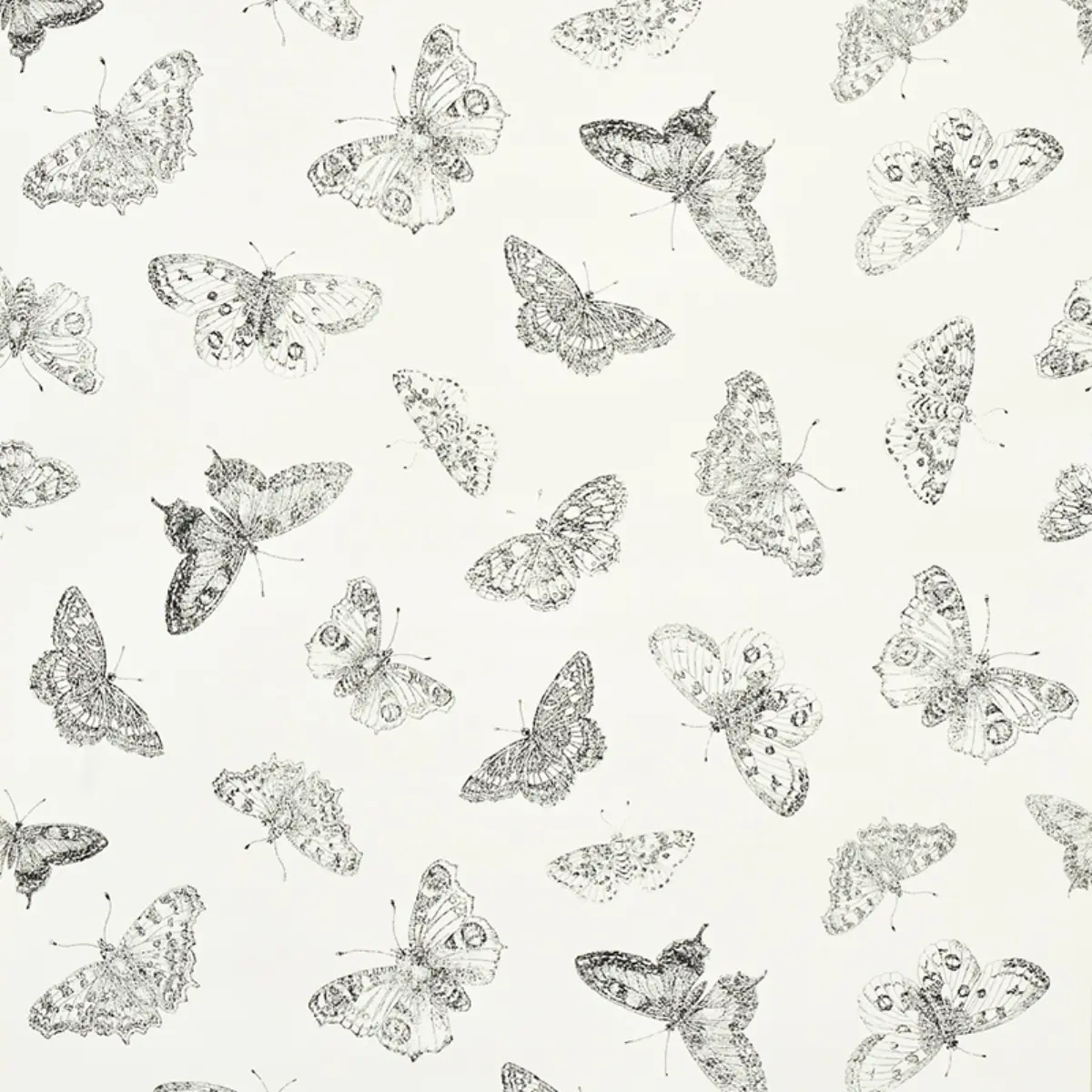 BURNELL BUTTERFLY_ IVORY