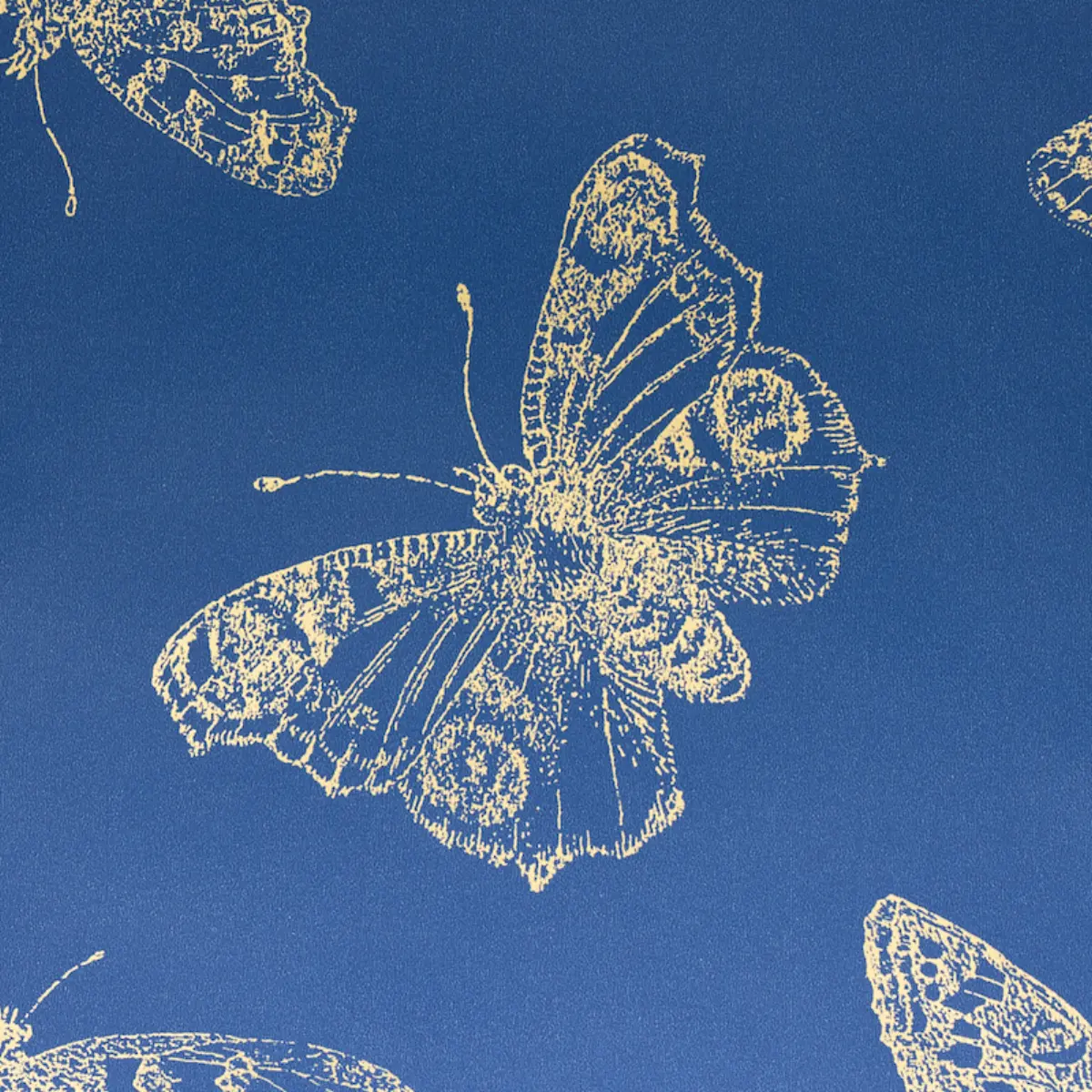 BURNELL BUTTERFLY_ BLUE
