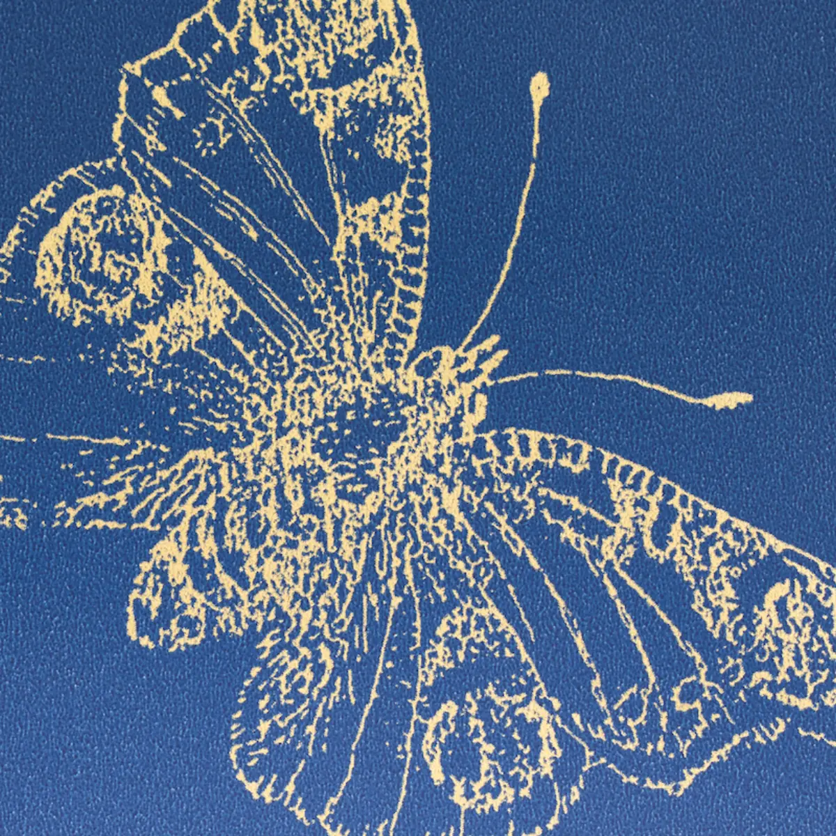 BURNELL BUTTERFLY_ BLUE