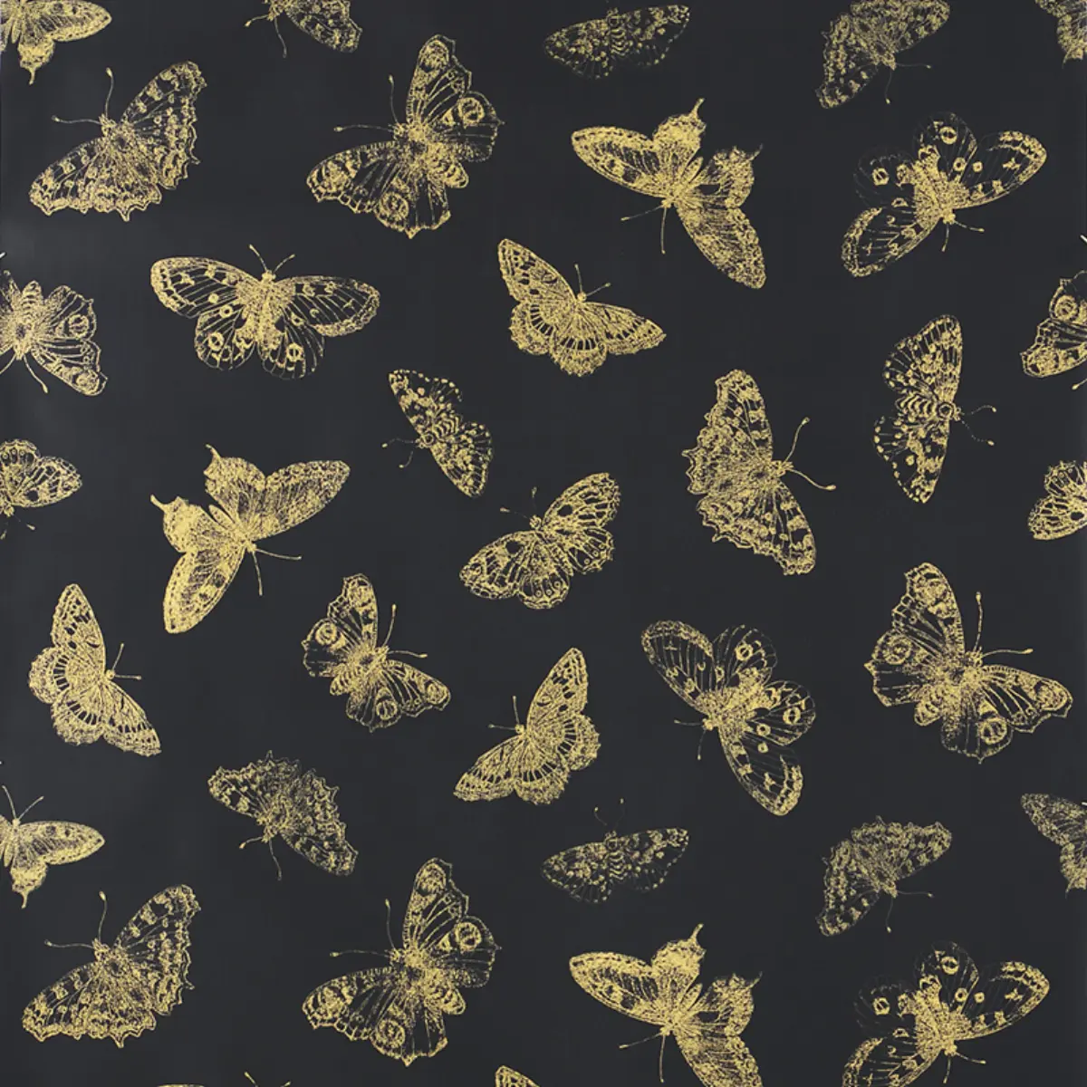 BURNELL BUTTERFLY_ BLACK