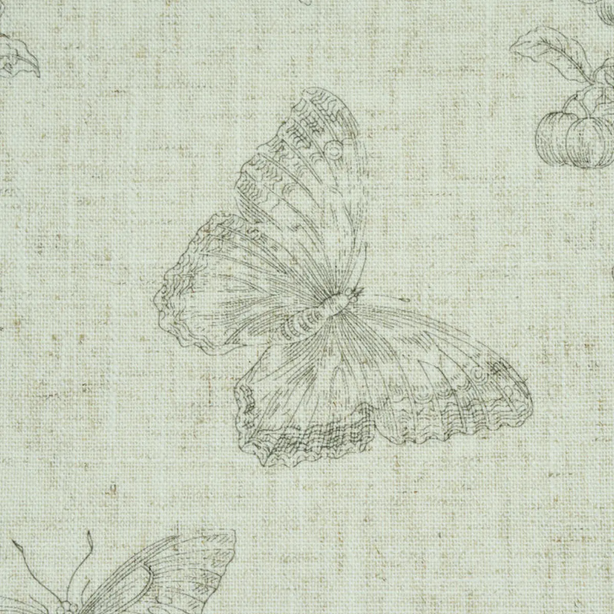 BAUDIN BUTTERFLY LINEN_ BLACK