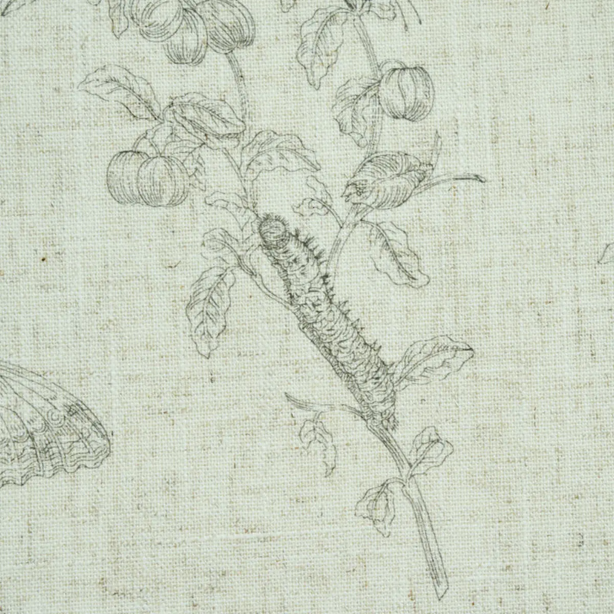 BAUDIN BUTTERFLY LINEN_ BLACK