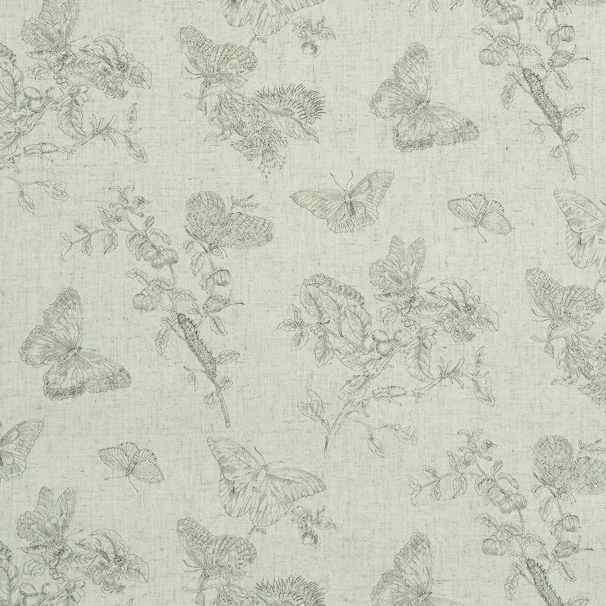 BAUDIN BUTTERFLY LINEN_ BLACK