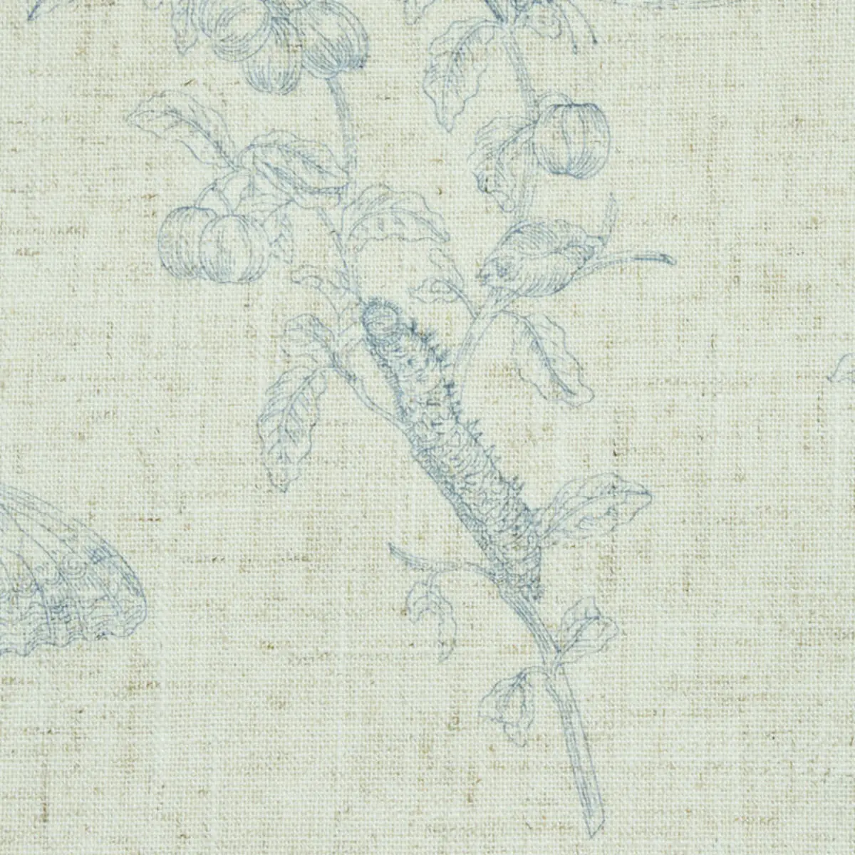 BAUDIN BUTTERFLY LINEN_ BLUE