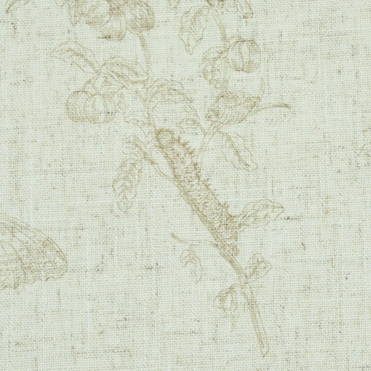 BAUDIN BUTTERFLY LINEN_ NATURAL