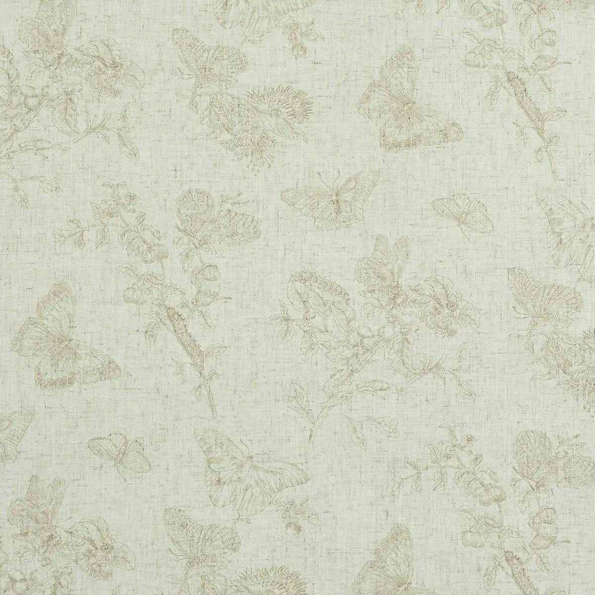 BAUDIN BUTTERFLY LINEN_ NATURAL