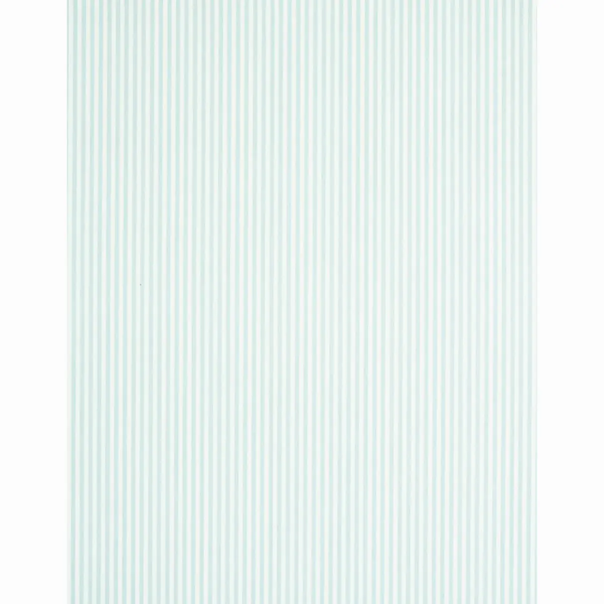 EDWIN STRIPE NARROW_ SKY
