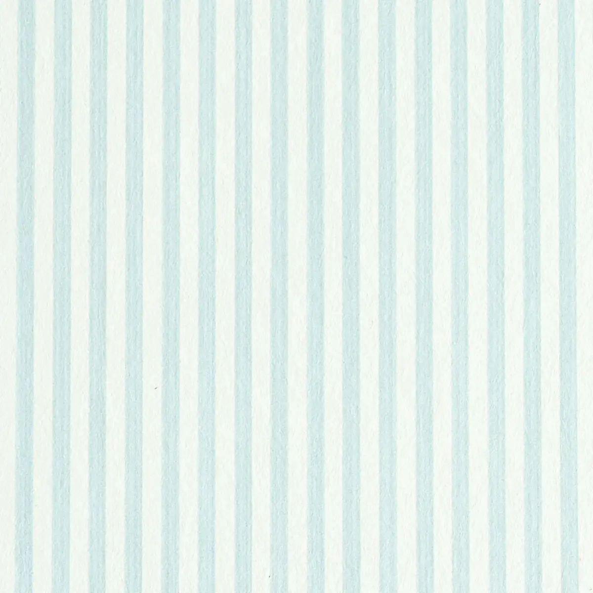 EDWIN STRIPE NARROW_ SKY