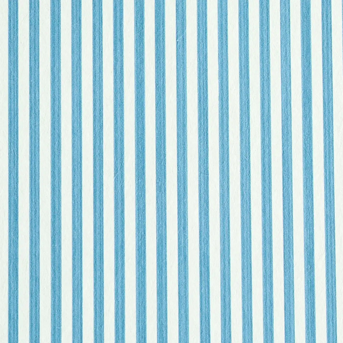 EDWIN STRIPE NARROW_ OCEAN