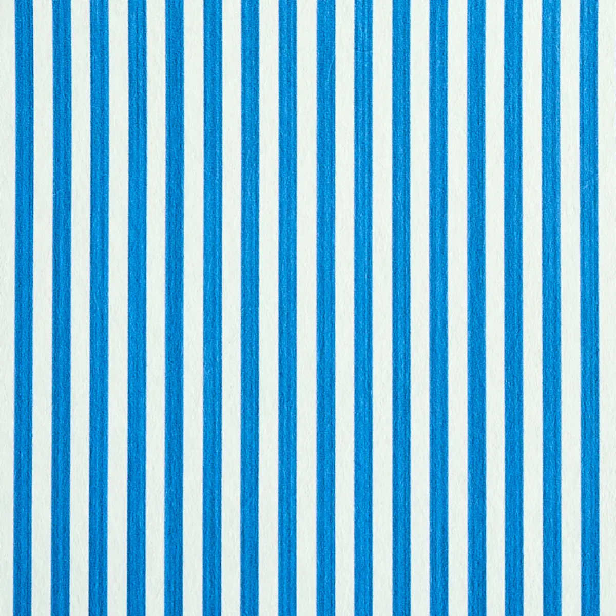 EDWIN STRIPE NARROW_ COBALT