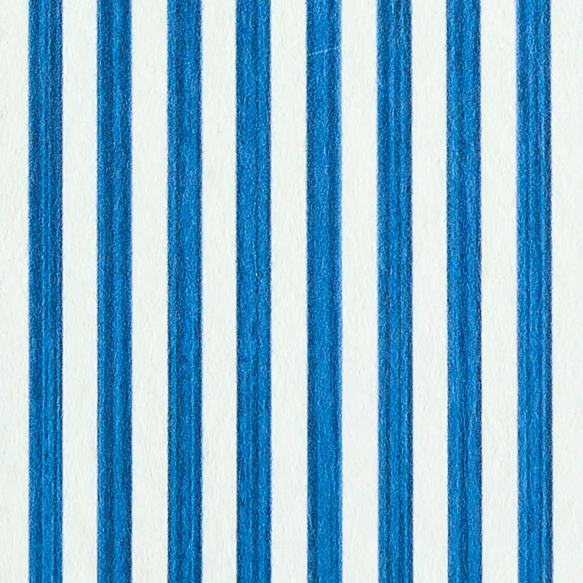 EDWIN STRIPE NARROW_ NAVY