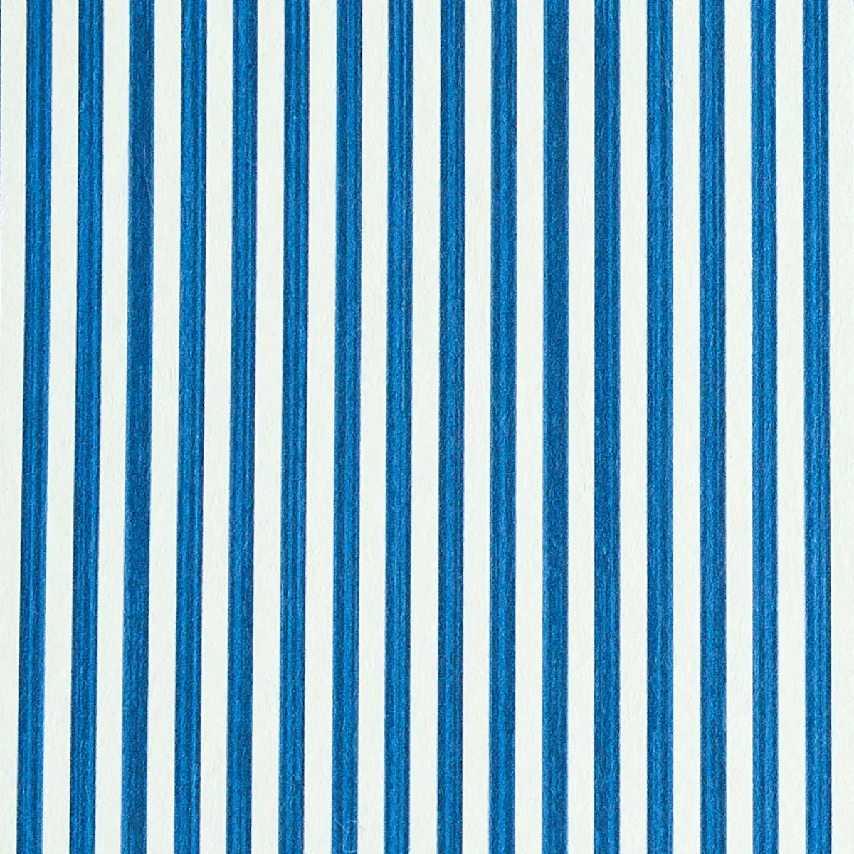 EDWIN STRIPE NARROW_ NAVY