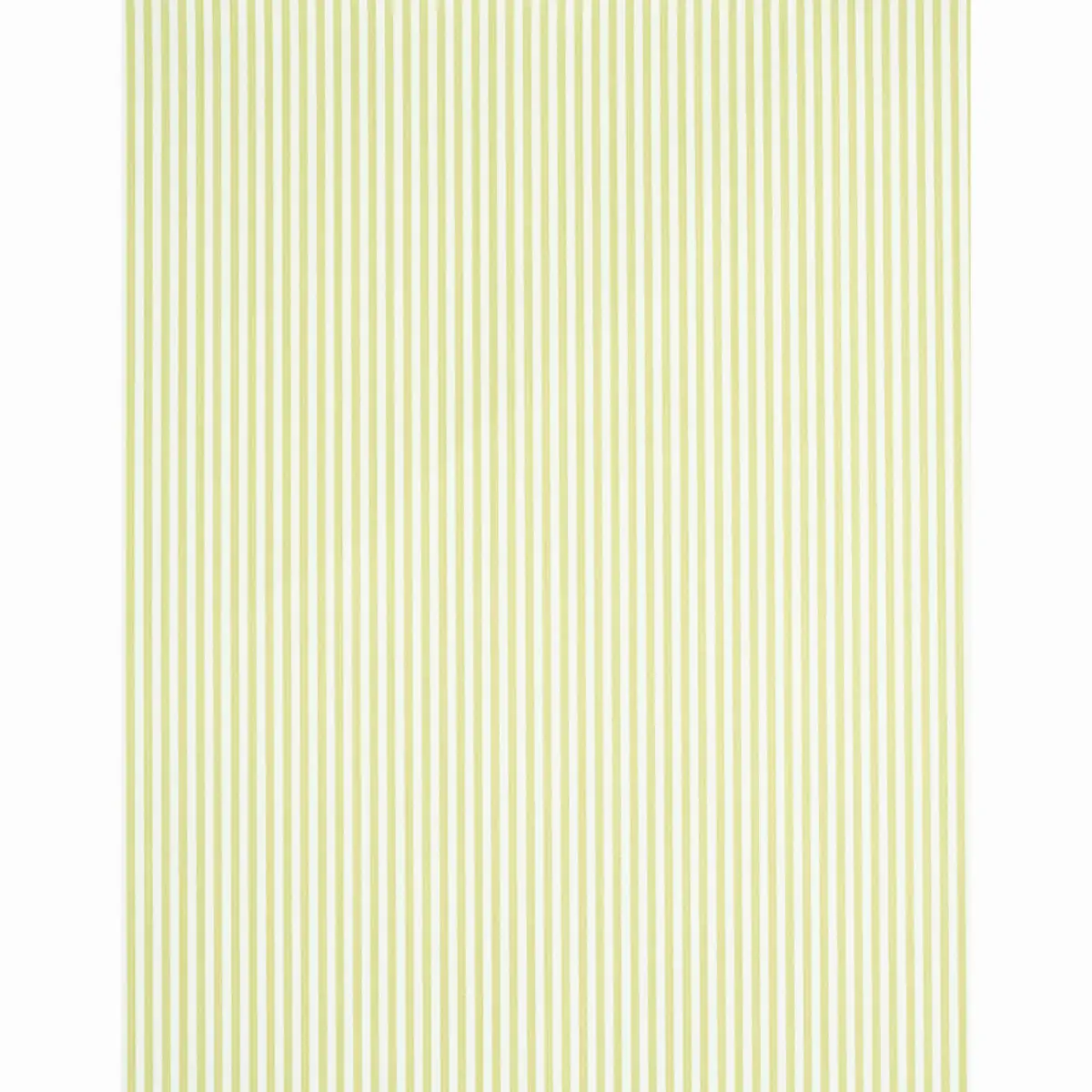 EDWIN STRIPE NARROW_ CITRON