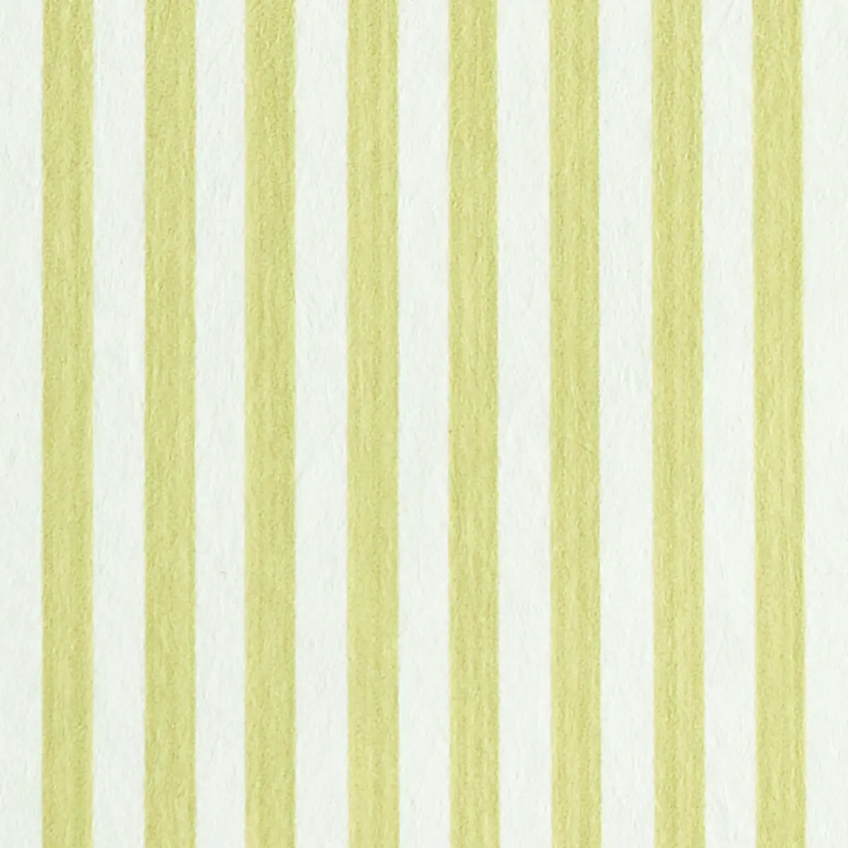 EDWIN STRIPE NARROW_ CITRON