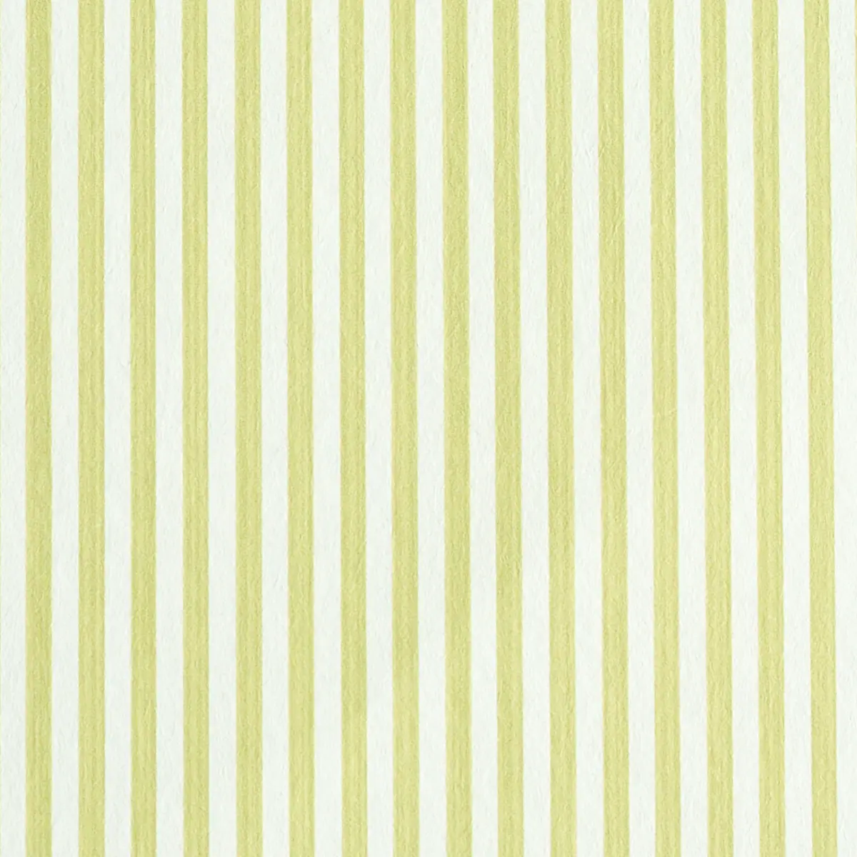EDWIN STRIPE NARROW_ CITRON