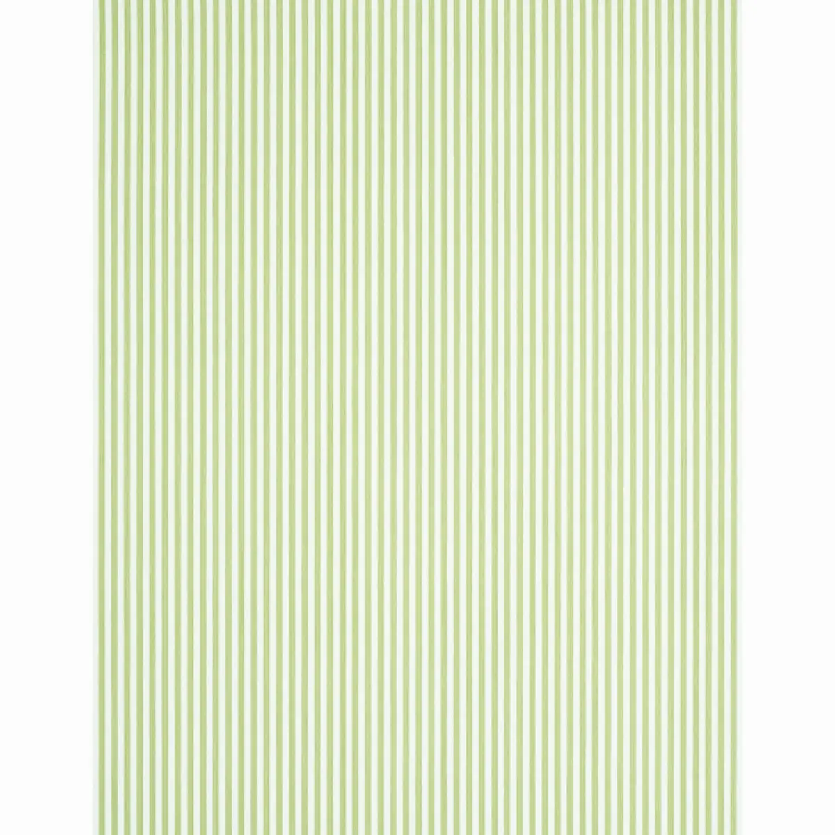 EDWIN STRIPE NARROW_ LEAF