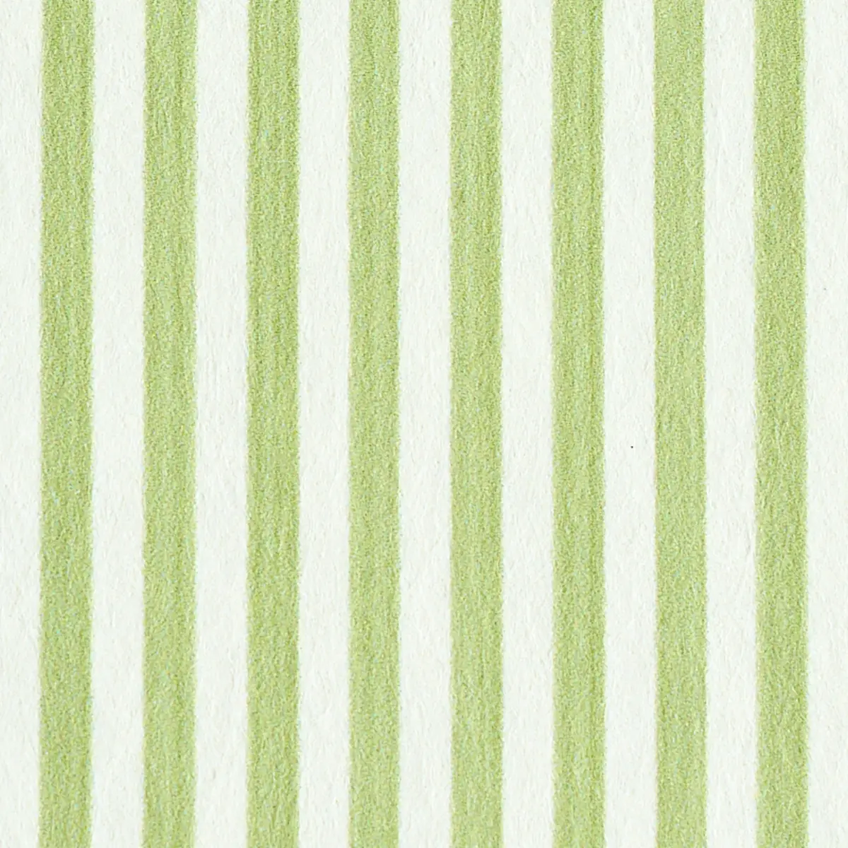 EDWIN STRIPE NARROW_ LEAF