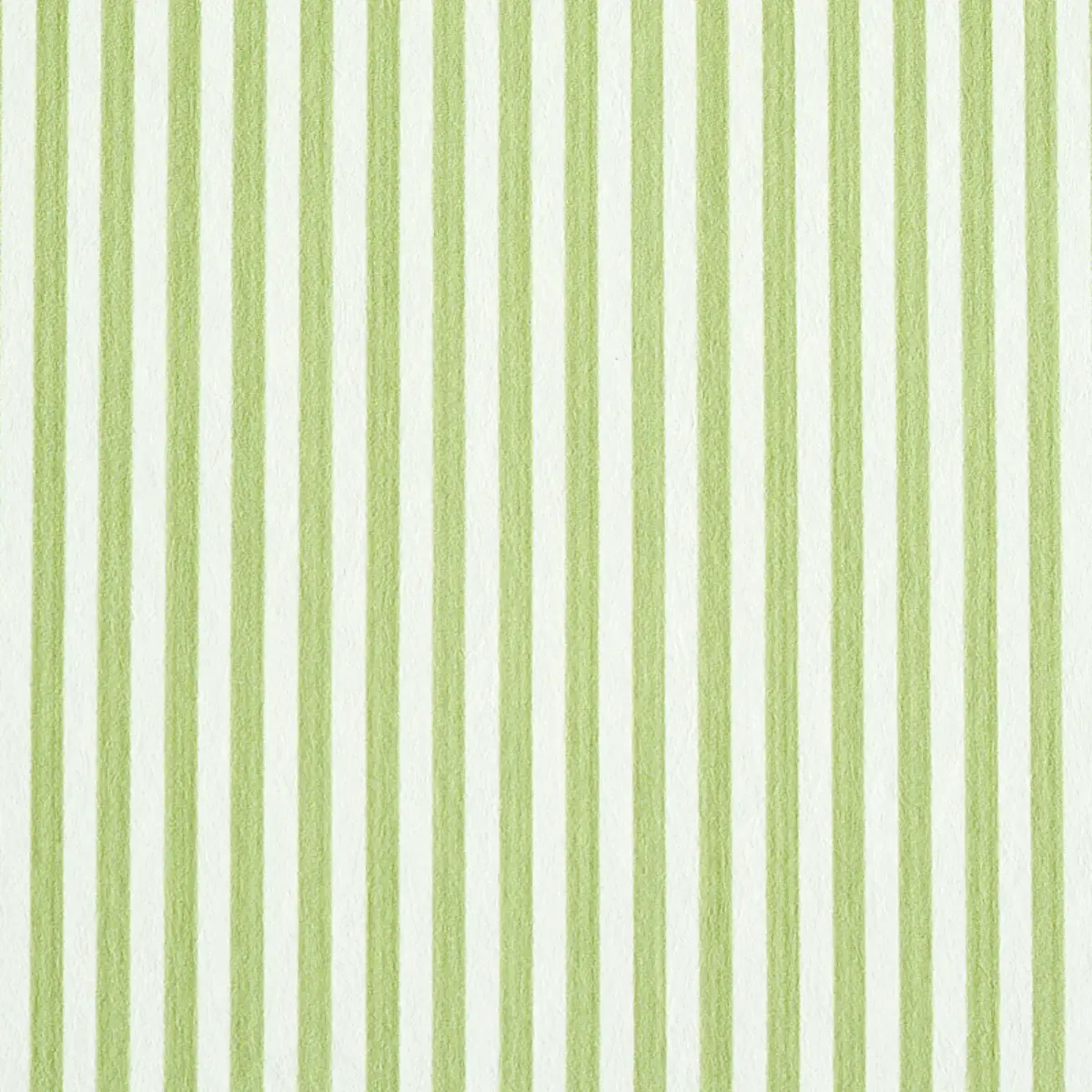 EDWIN STRIPE NARROW_ LEAF