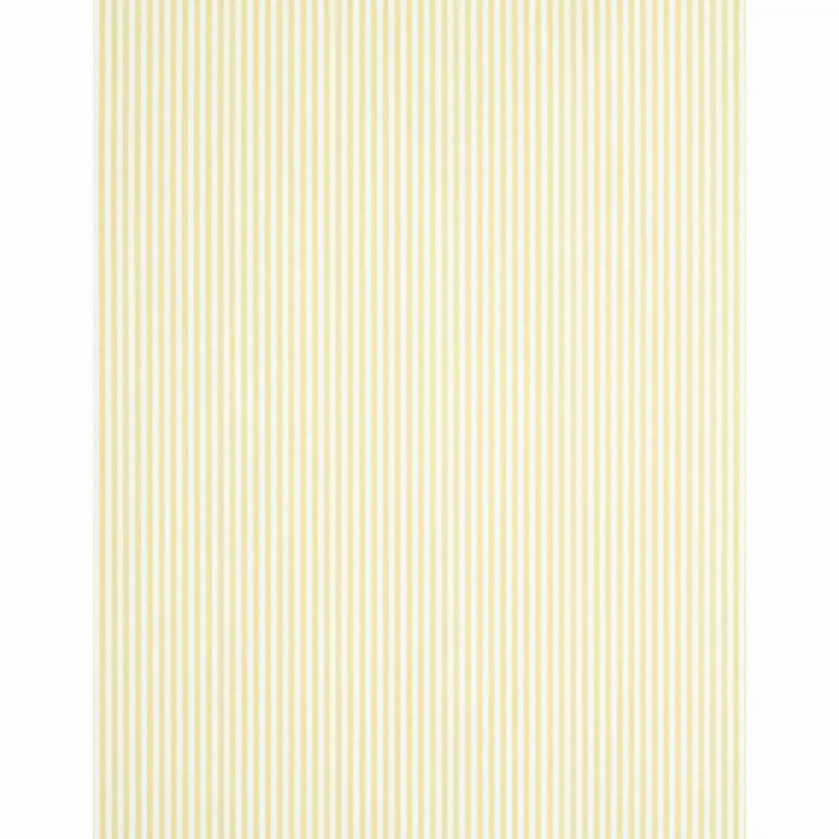 EDWIN STRIPE NARROW_ BUTTERCUP