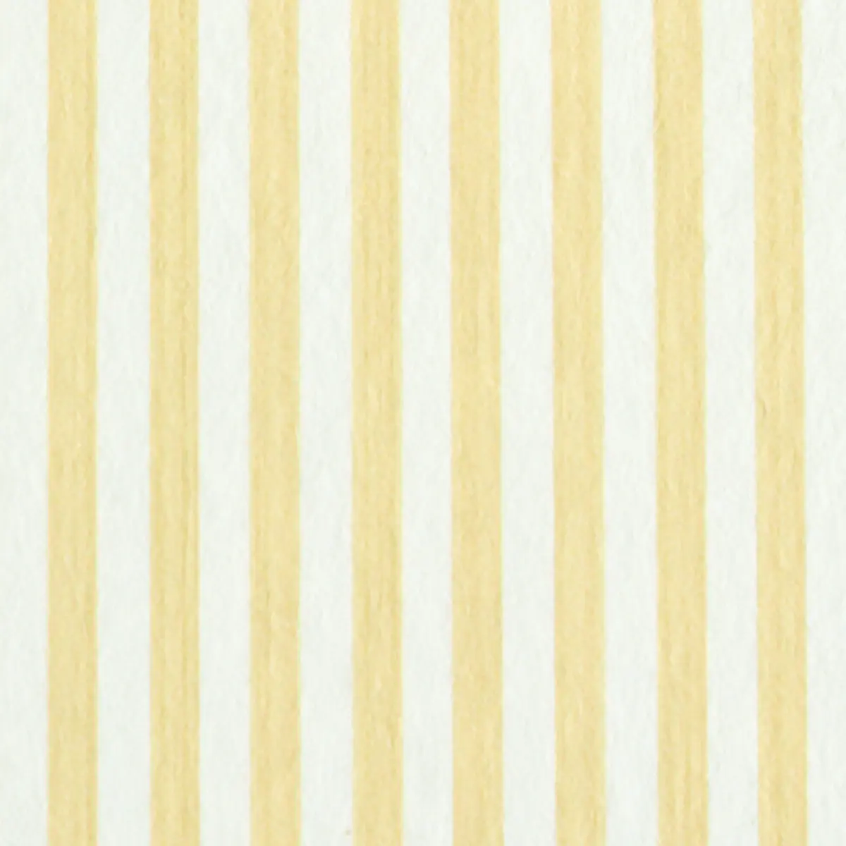 EDWIN STRIPE NARROW_ BUTTERCUP