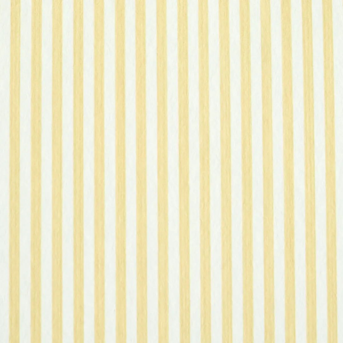 EDWIN STRIPE NARROW_ BUTTERCUP