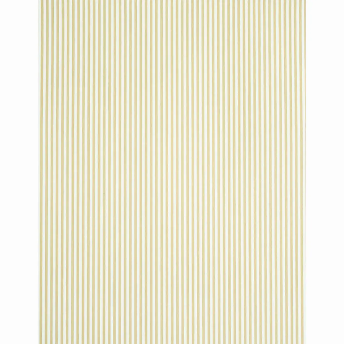 EDWIN STRIPE NARROW_ SAND