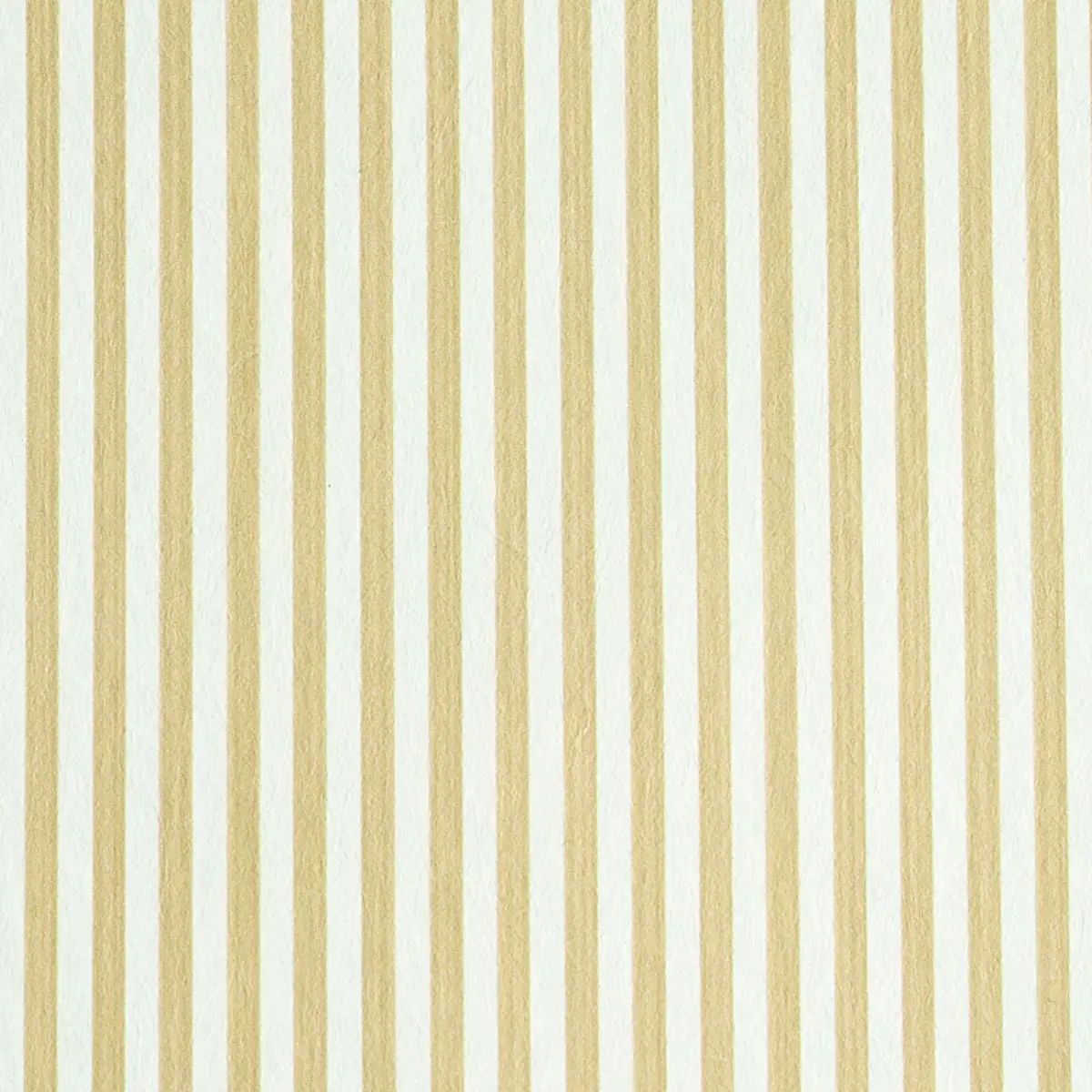 EDWIN STRIPE NARROW_ SAND