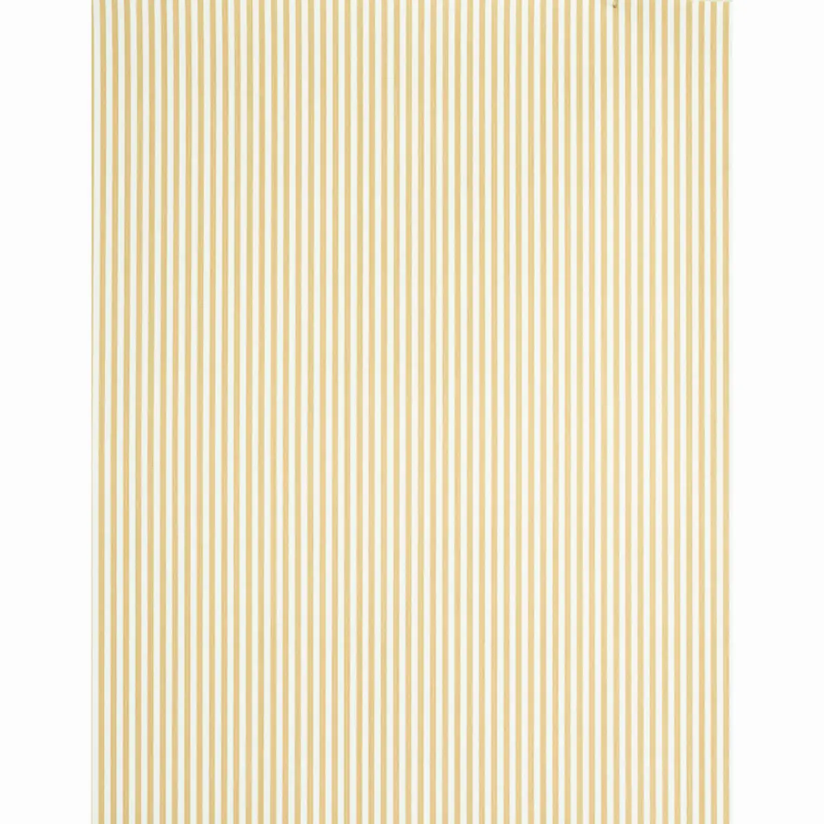 EDWIN STRIPE NARROW_ WHEAT