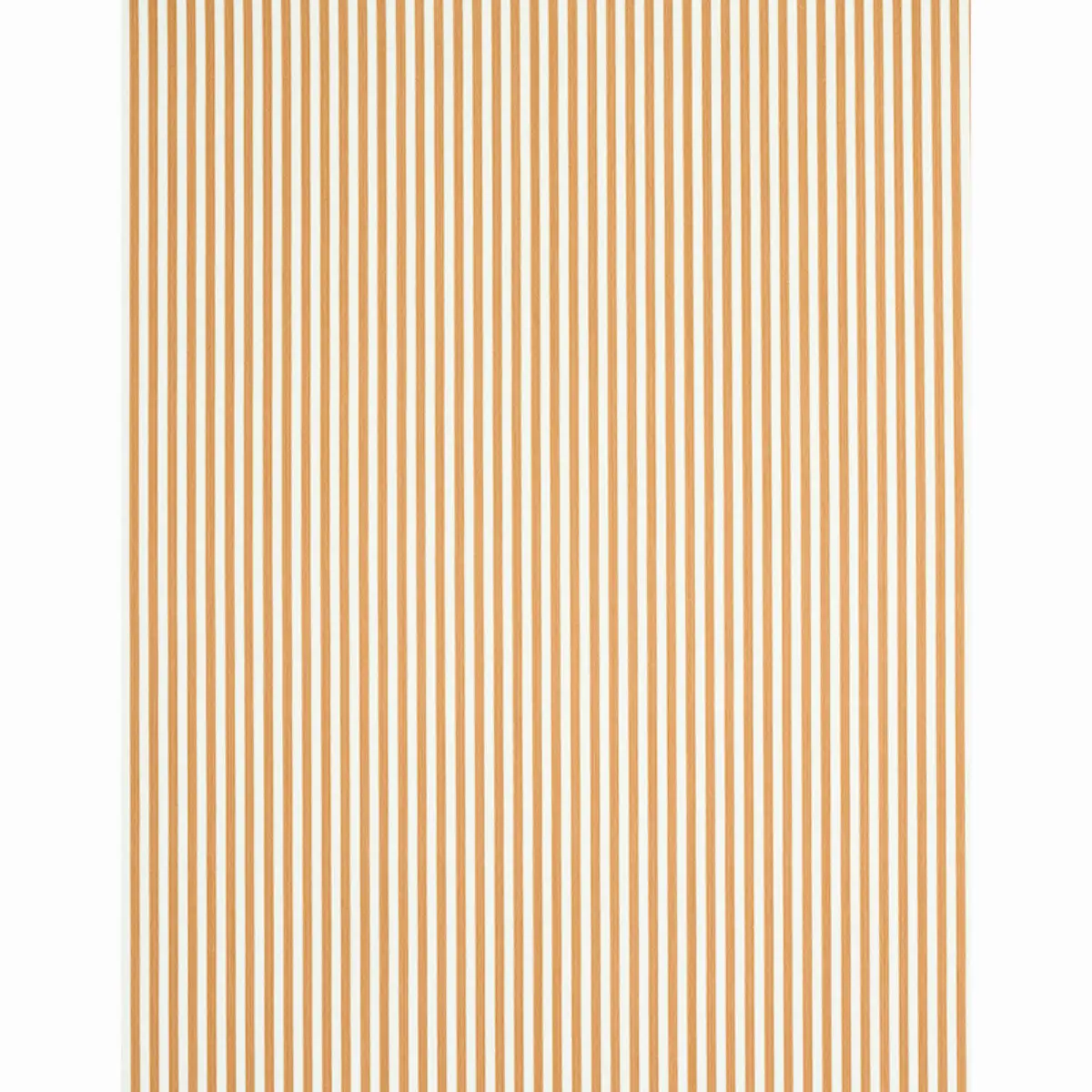 EDWIN STRIPE NARROW_ BUTTERNUT