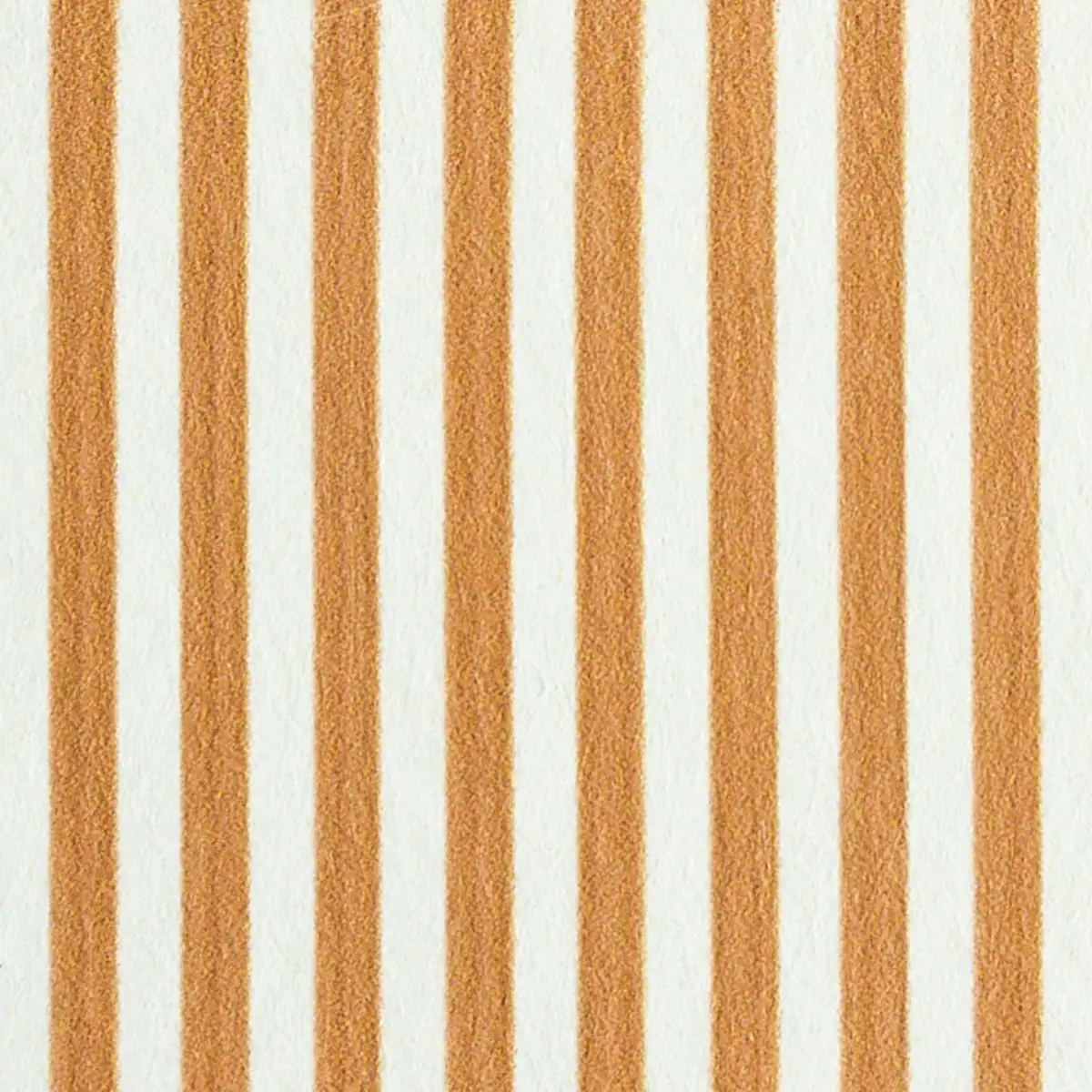 EDWIN STRIPE NARROW_ BUTTERNUT