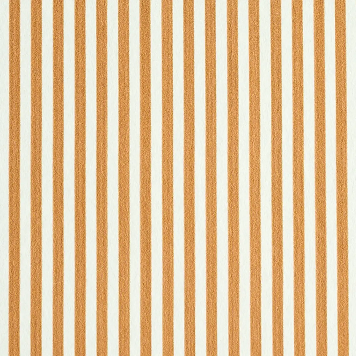 EDWIN STRIPE NARROW_ BUTTERNUT