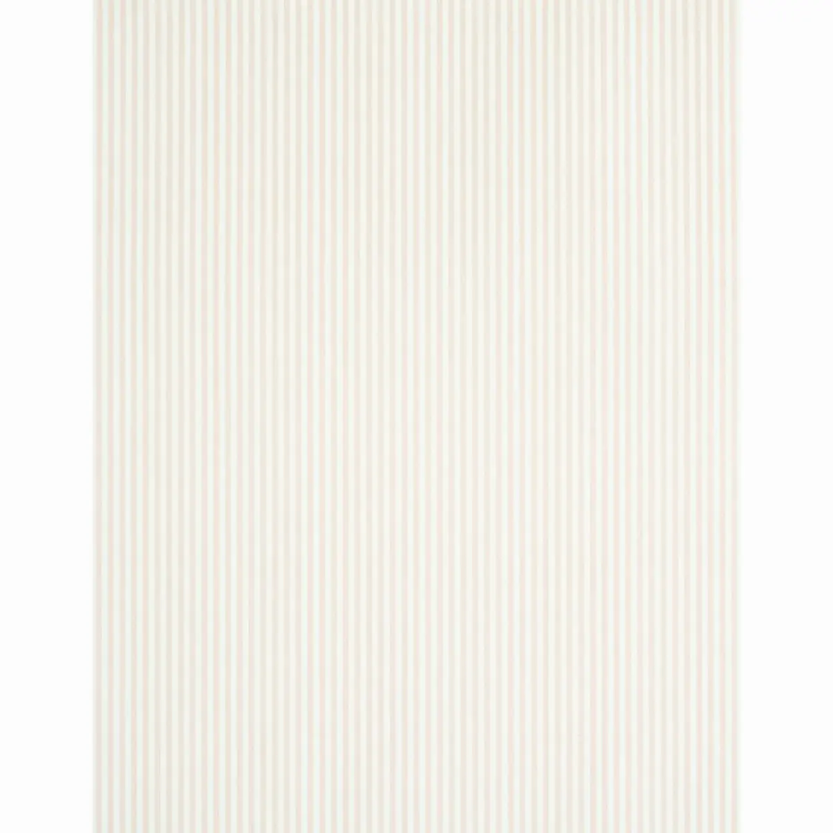EDWIN STRIPE NARROW_ BLUSH