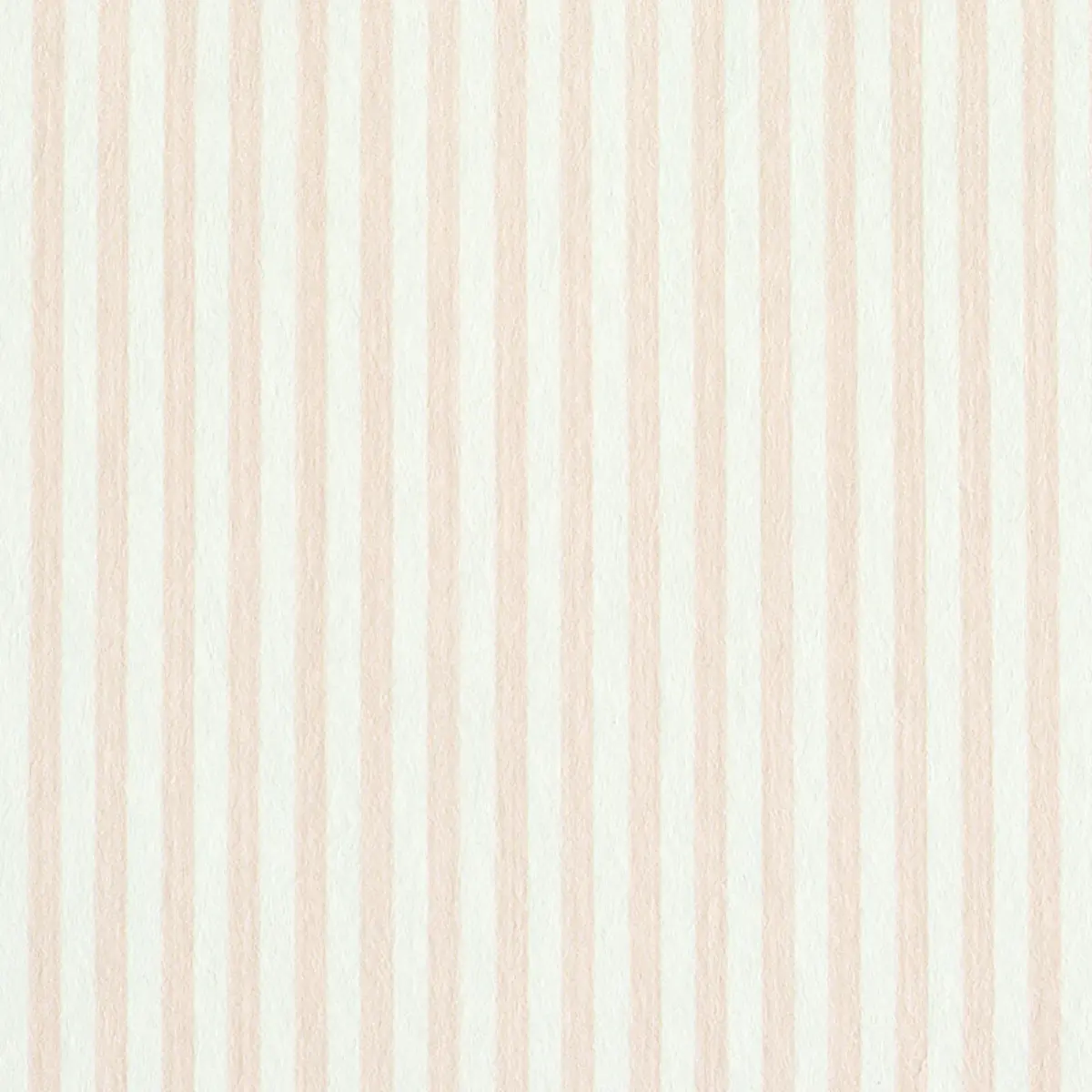 EDWIN STRIPE NARROW_ BLUSH