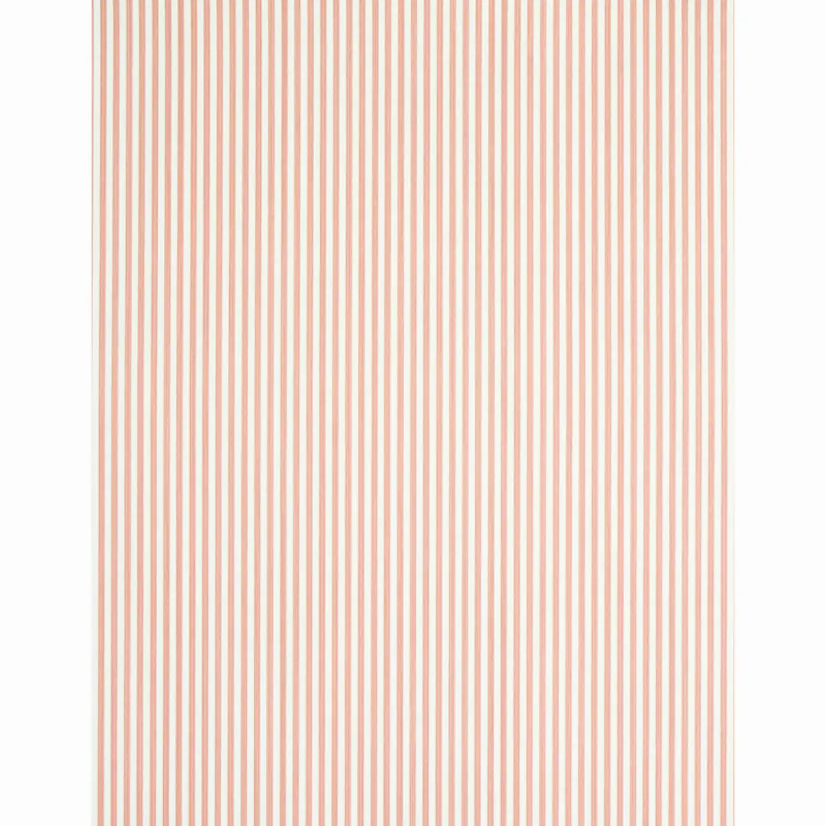 EDWIN STRIPE NARROW_ PINK