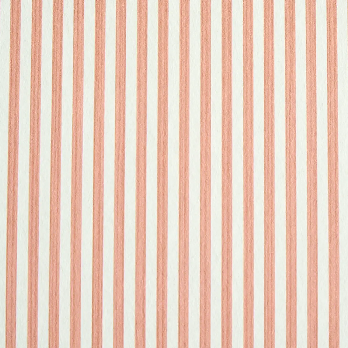 EDWIN STRIPE NARROW_ PINK