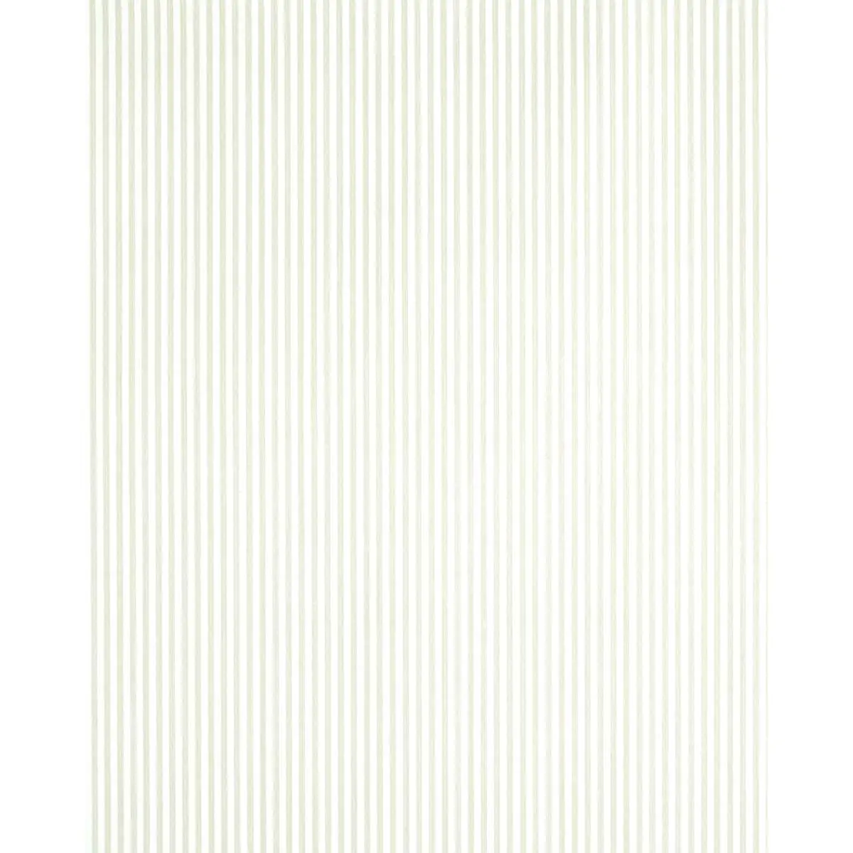 EDWIN STRIPE NARROW_ NATURELLE