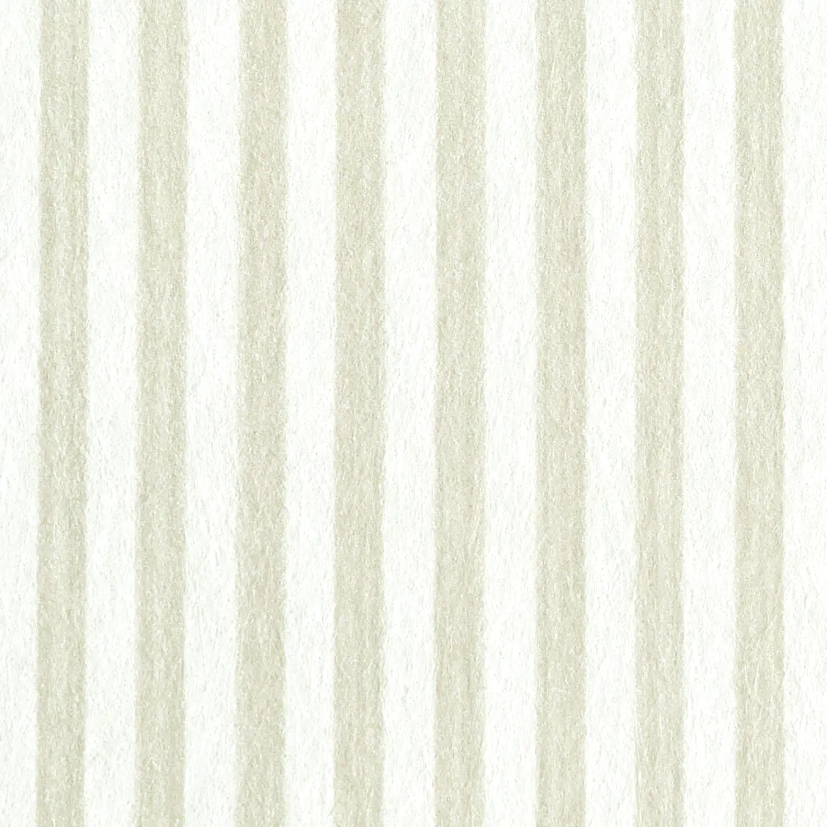 EDWIN STRIPE NARROW_ NATURELLE