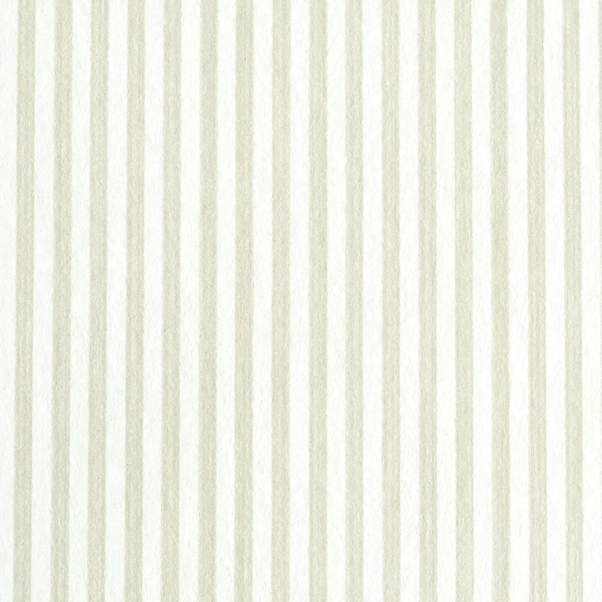 EDWIN STRIPE NARROW_ NATURELLE