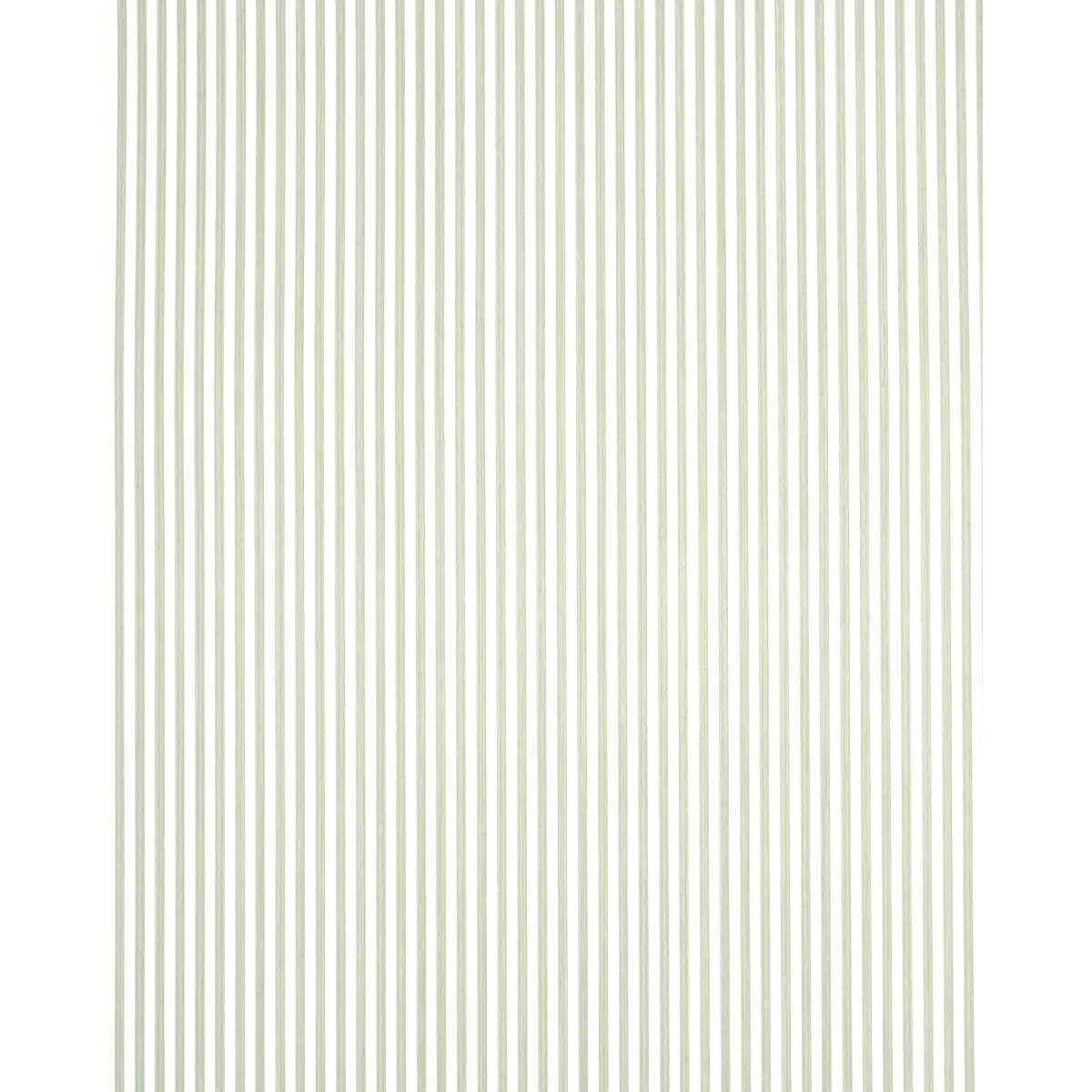 EDWIN STRIPE NARROW_ LINEN