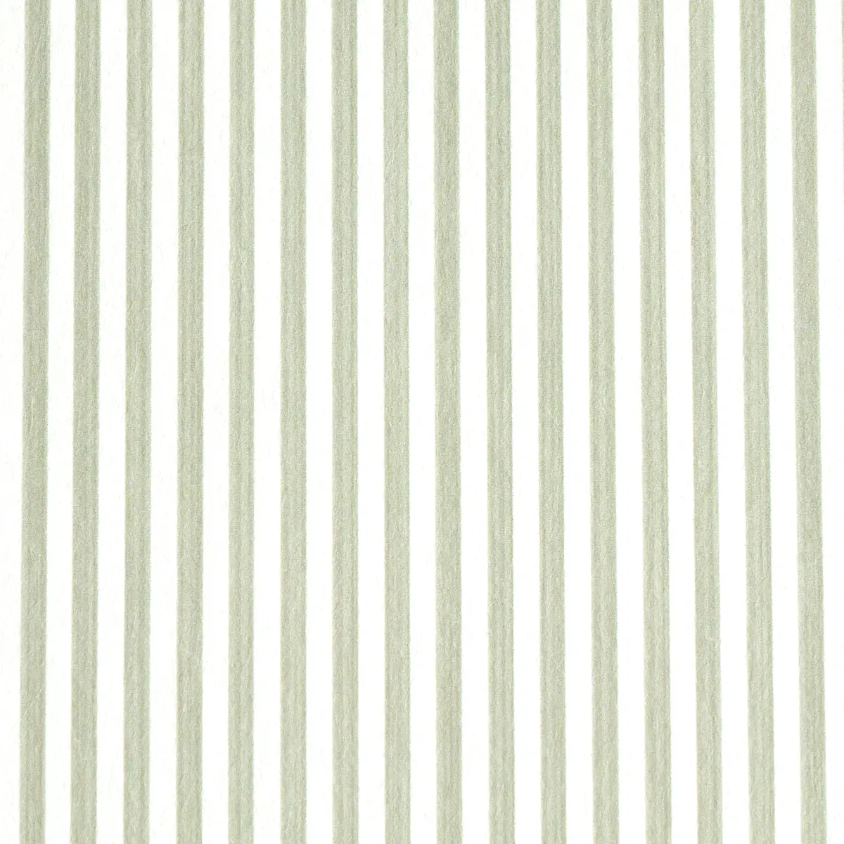 EDWIN STRIPE NARROW_ LINEN