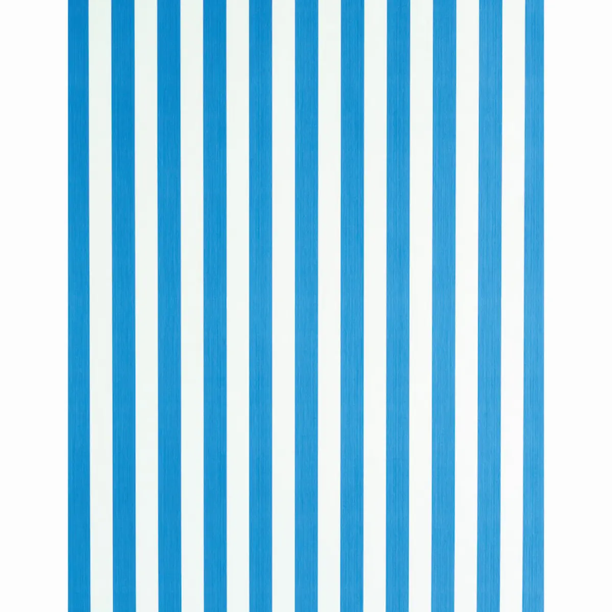 EDWIN STRIPE MEDIUM_ COBALT