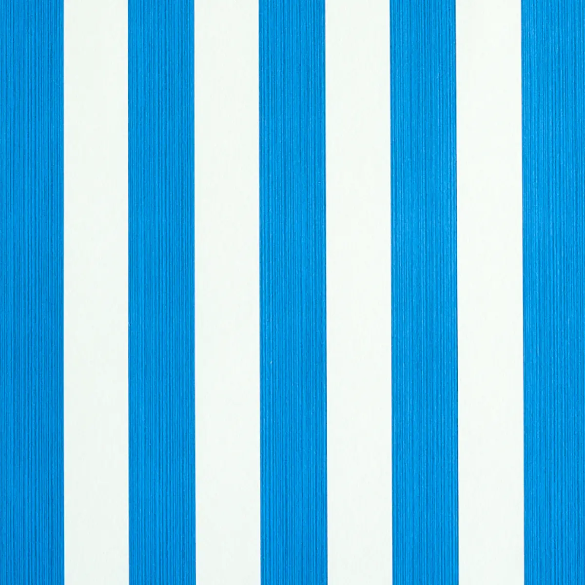 EDWIN STRIPE MEDIUM_ COBALT