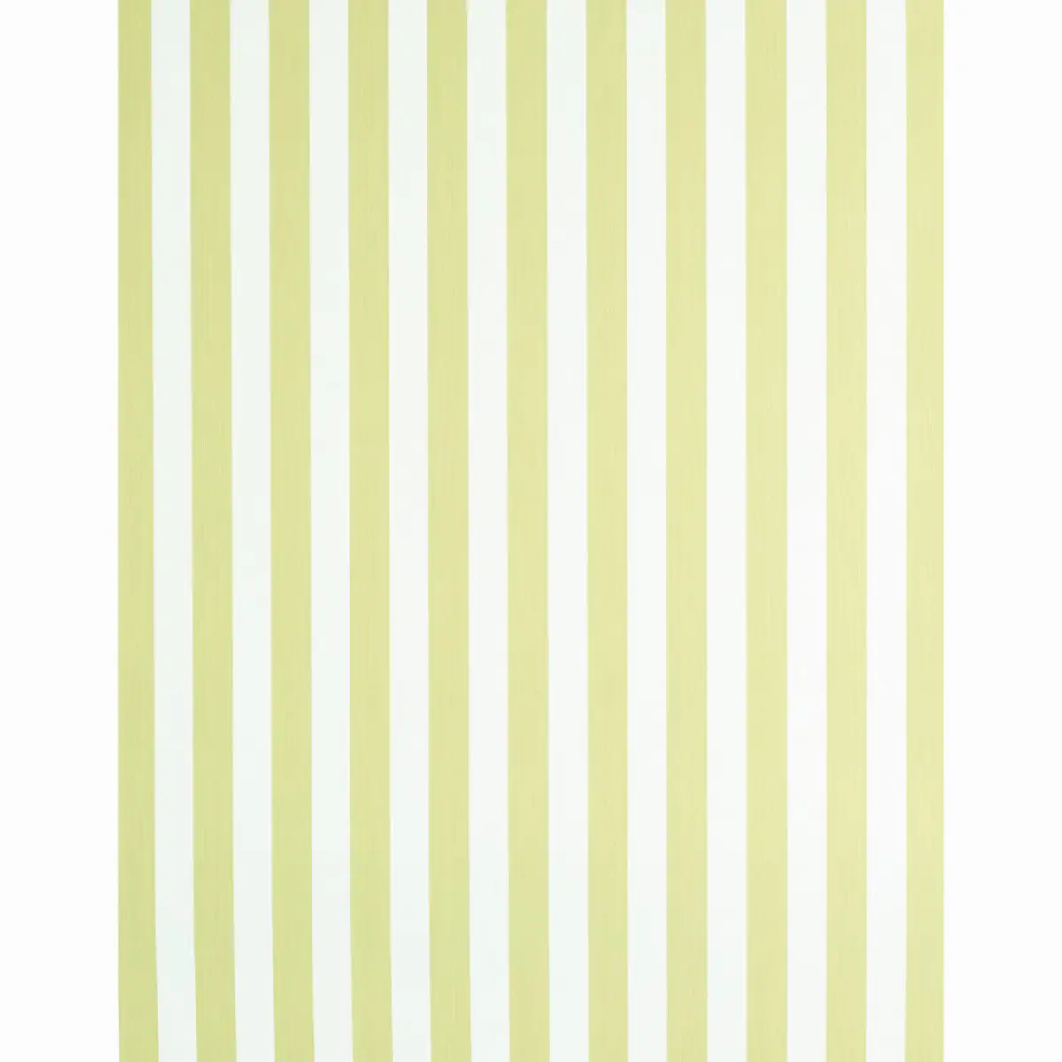 EDWIN STRIPE MEDIUM_ CITRON