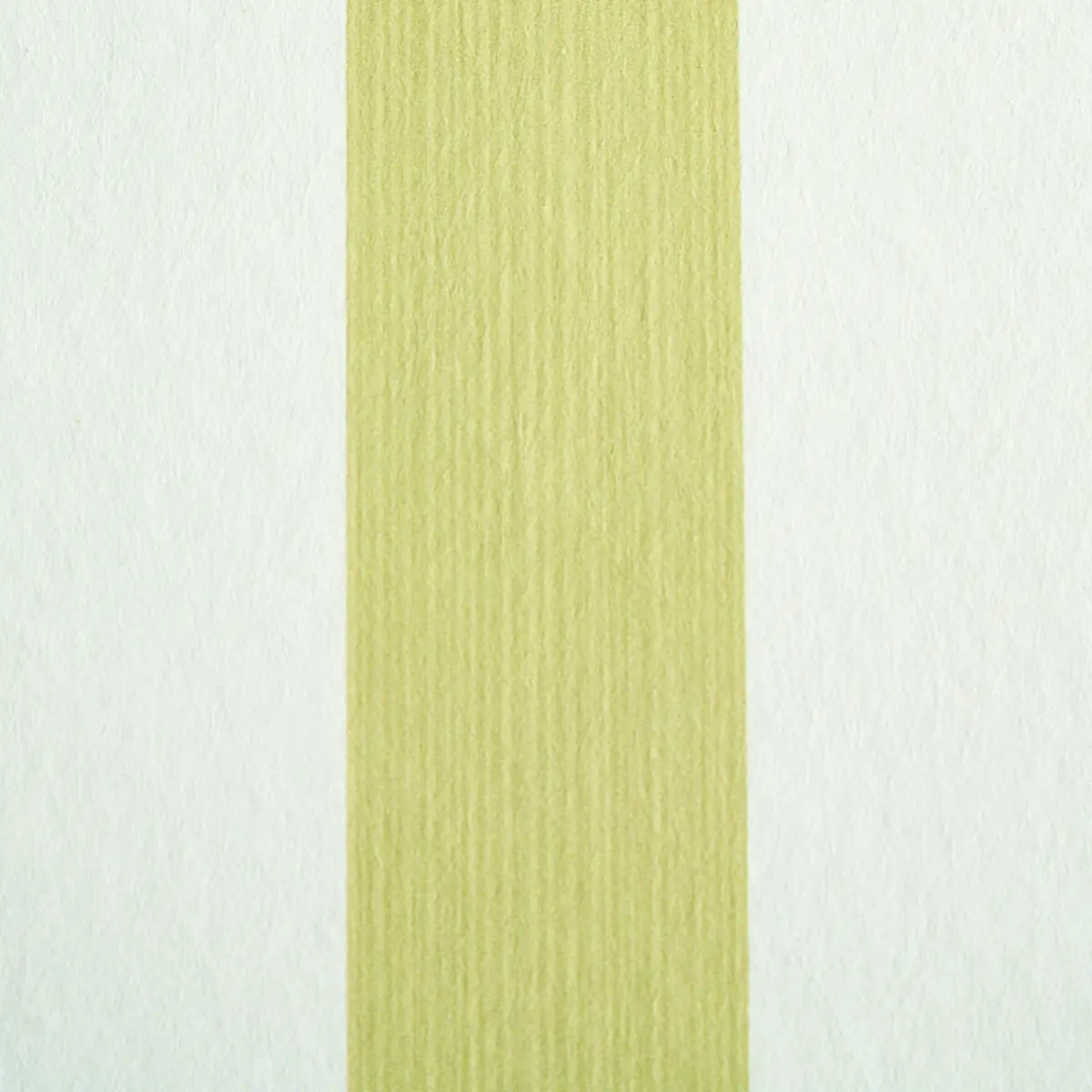 EDWIN STRIPE MEDIUM_ CITRON