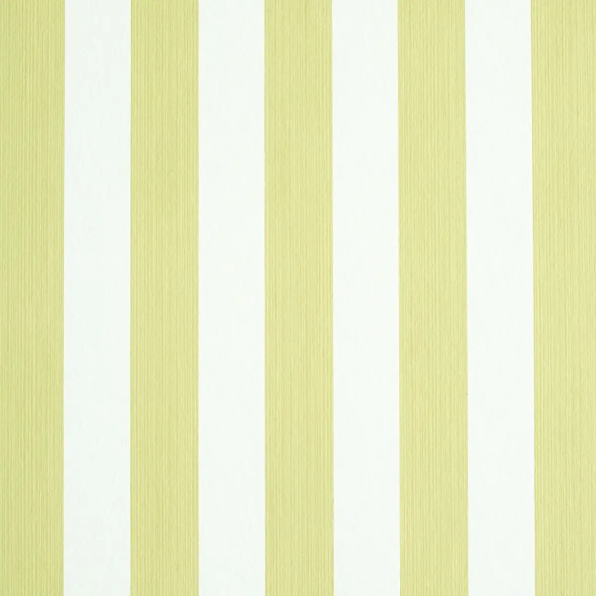 EDWIN STRIPE MEDIUM_ CITRON