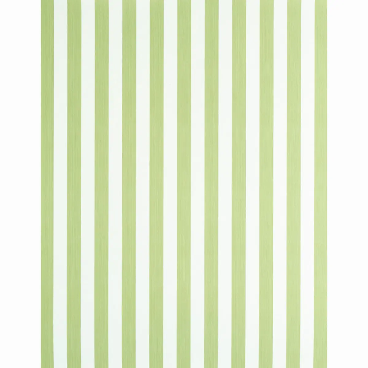EDWIN STRIPE MEDIUM_ LEAF