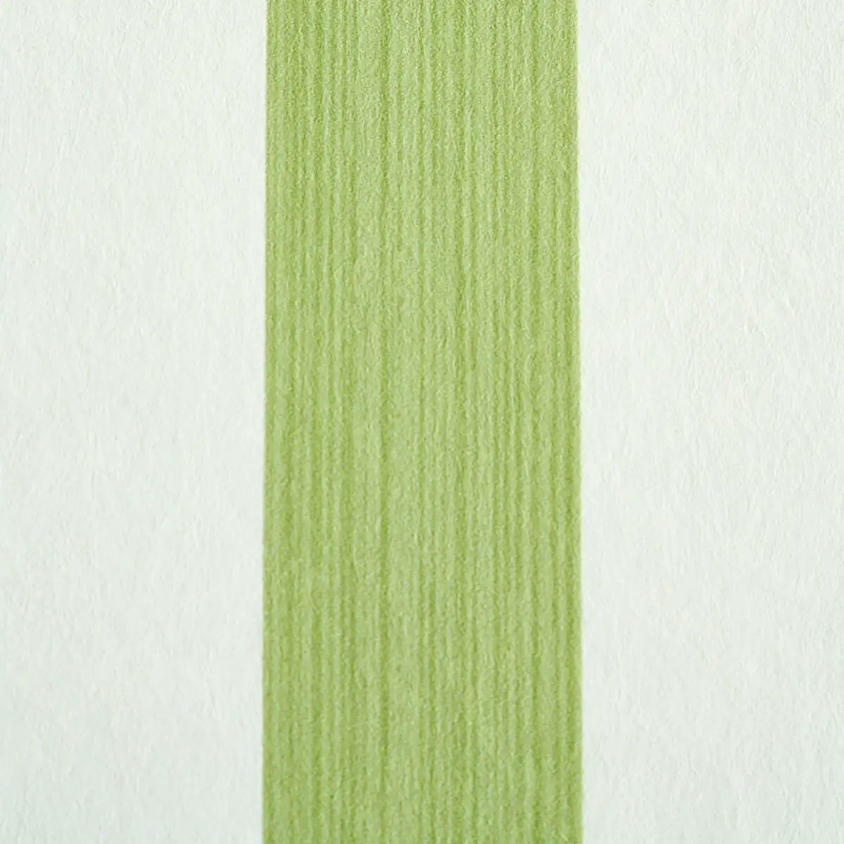 EDWIN STRIPE MEDIUM_ LEAF