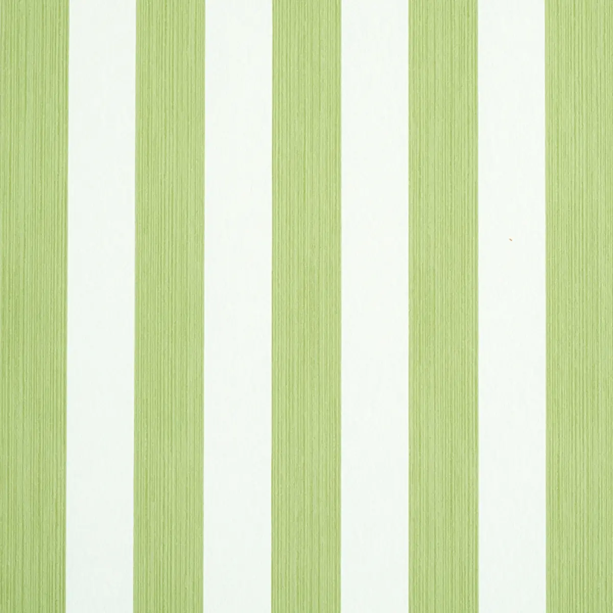 EDWIN STRIPE MEDIUM_ LEAF